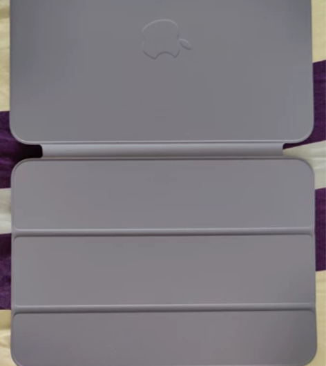 iPad mini (第六代) 的智能双面...