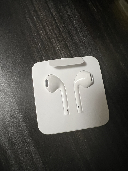 苹果原装耳机。