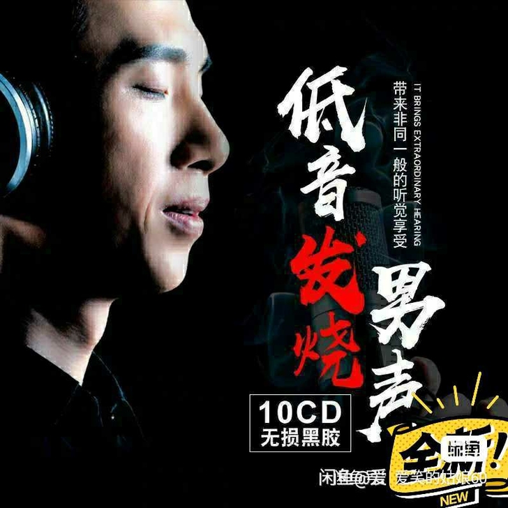 【全新包邮】正版发烧cd碟王闻江智民赵鹏人...