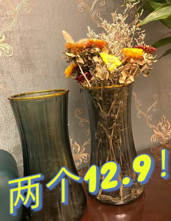【买一送一包邮】创意玻璃花瓶插花水养北欧风...