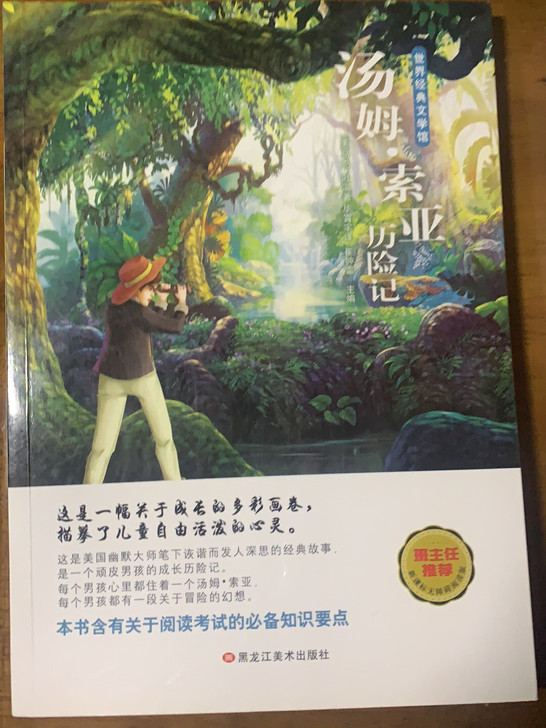 汤姆索亚历险记全新