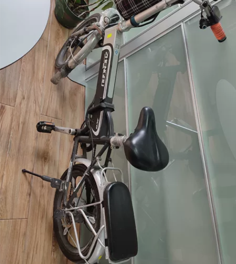 #正步电动自行车  因疫情骑得少，电池已废...