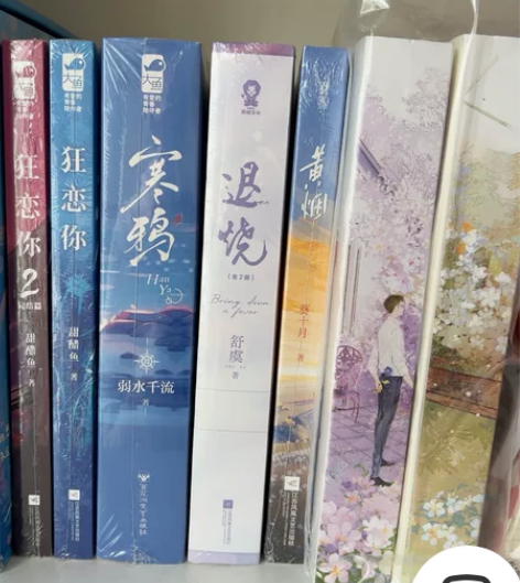 出言情小说青春文学未拆新的 有购买记录 感...