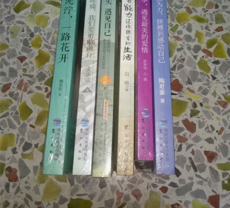 （出）心灵鸡汤 青春文学 励志文学   情...