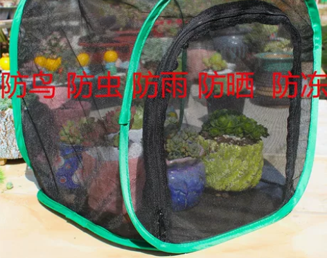 多肉防鸟神器植物防鸟罩防晒防雨支架露养护理...