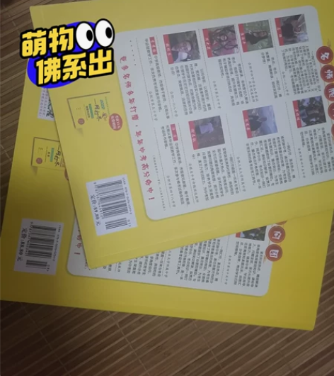 原价50多一本政史考试速查手册速查 现佛系...