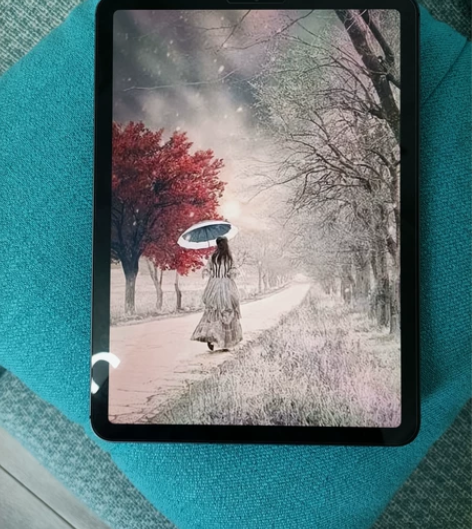 包邮9新iPad Air4代10.9寸 2...