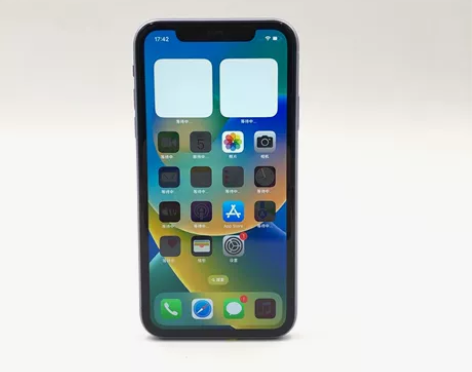 Apple/苹果 苹果 iPhone 11...