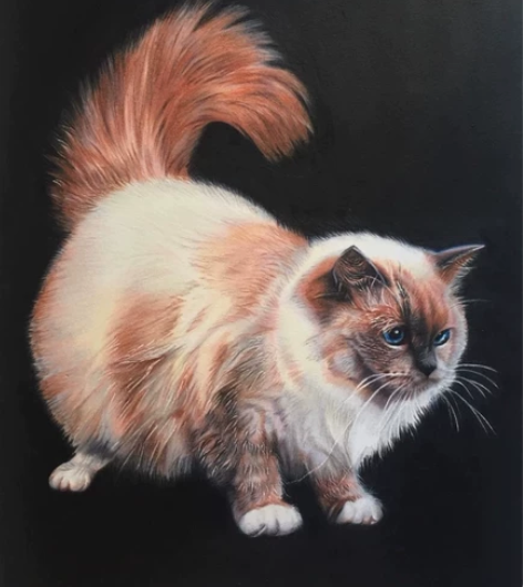 代画/代临摹/插画设计/水彩创作/情头创作...