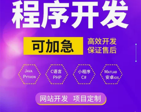 Java编程C++C语言程序代编Pytho...