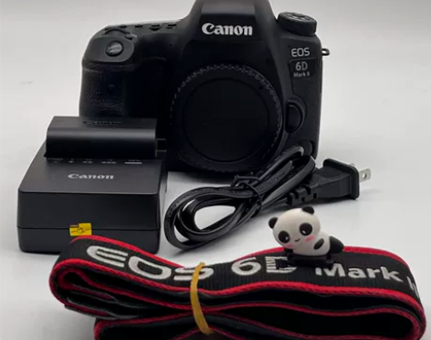 95新95新佳能 EOS 6D Mark ...