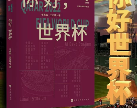 世界杯风云卡塔尔世界杯书籍诸神黄昏世界杯诸...