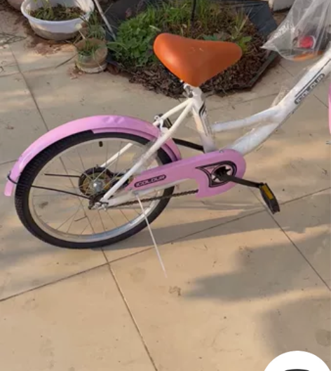 地址：寮步坑口牌坊。儿童自行车20寸折叠中...