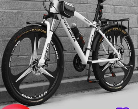 凤之星自行车 上海凤凰车件有限公司山地成人...