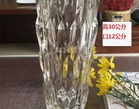 亮剑款玻璃花瓶 干花插花玻璃瓶菱形水晶瓶客...