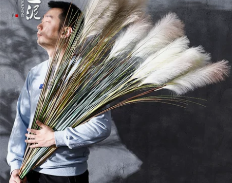 【狂欢价】整束长款一米五1.5大芦苇洋葱草...