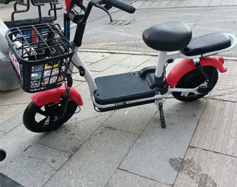 精品飞鸽电动的出售，9.9成新，新电池，车...