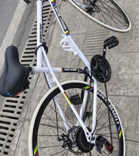 死飞百士顿，买了差不多一个月，过年回家带不...