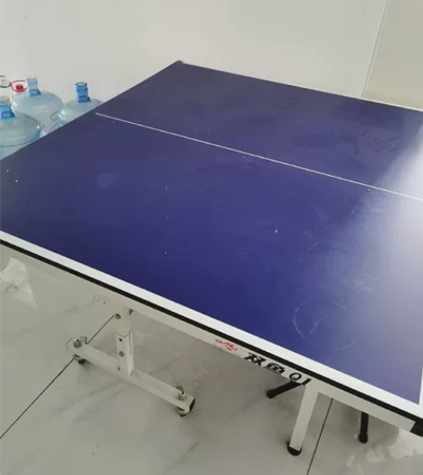 双鱼品牌家用乒乓球台,九成新 感兴趣的话点...