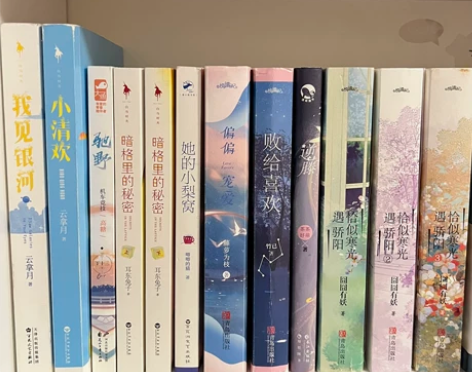 出青春文学 言情小说 当当网购入有记录 不...