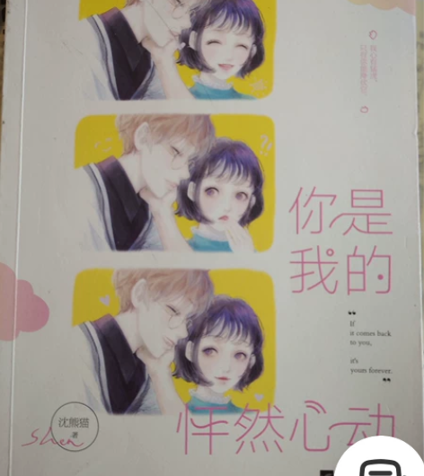 《你是我的怦然心动》 校园文,好看的!!!...