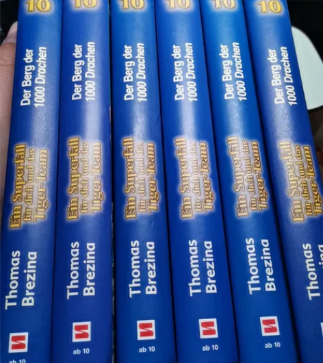 冒险小虎队 千龙山到货