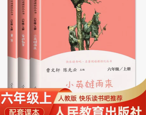 小英雄雨来爱的教育童年六年级上册必读的课外...