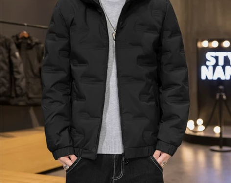 ZARA白鸭毛羽绒服男款春秋2020新款无...