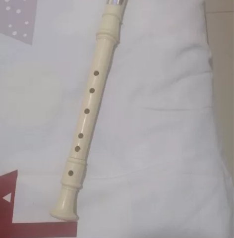 笛子,孩子学校让买的,用了没几次完好如新。...