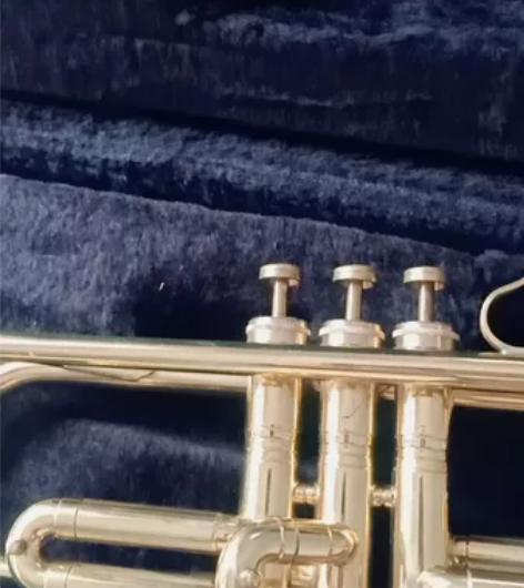 日本托坎标准小号，日本昭和时期著名品牌，整...