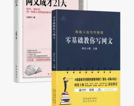 零基础教你写网文成才21天 网络文学小说写...