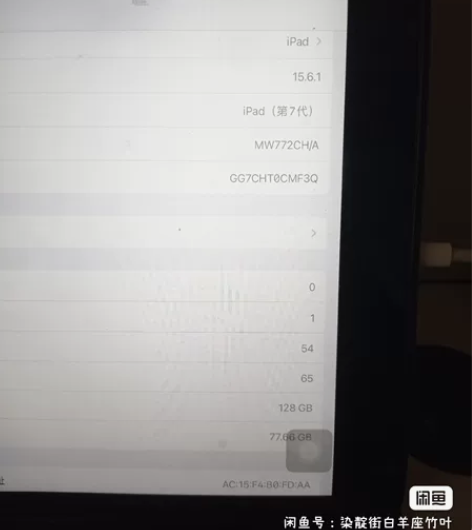 个人使用iPad摄像头都可以正常使用指纹也...