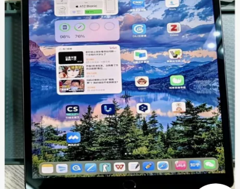 个人因经济紧张，出2021款iPad平板电...