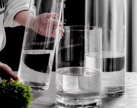 马醉木水养大号玻璃透明花瓶摆件客厅插花in...