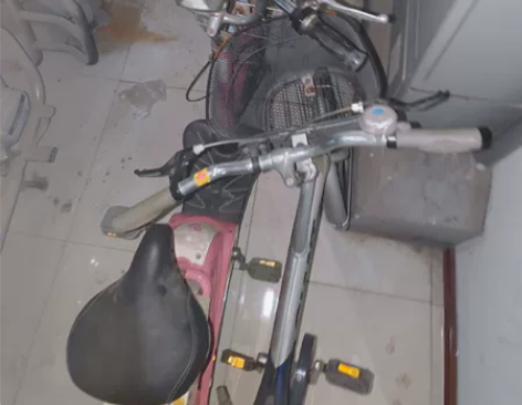 新日电动车 榆次龙湖国际自提 放了挺久 电...