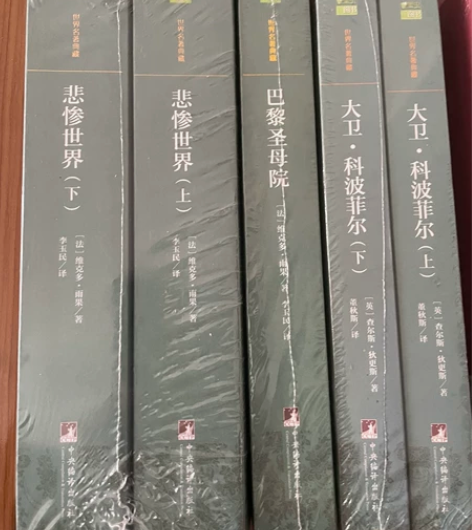 世界名著《悲惨世界》上下 《巴黎圣母院》 ...