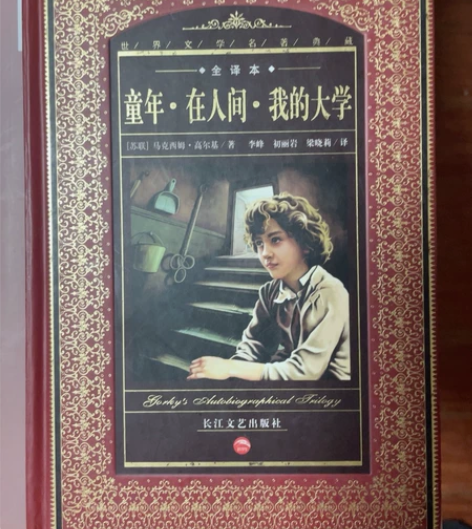 童年在人间我的大学 搬家太沉了 所以出 感...