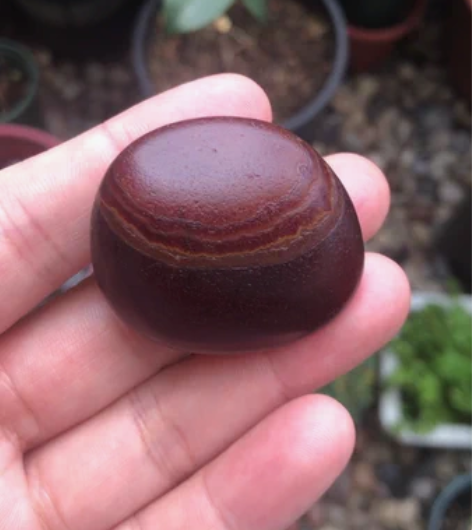 马达加斯加冰彩玛瑙《红与黑》 感兴趣的话点...