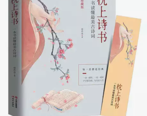 枕上诗书一本书读懂中国古诗词彩图珍藏版中国...