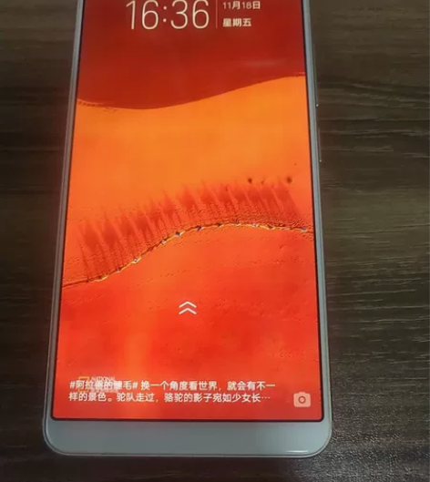 vivoX20，464，原装手机，显示老化...