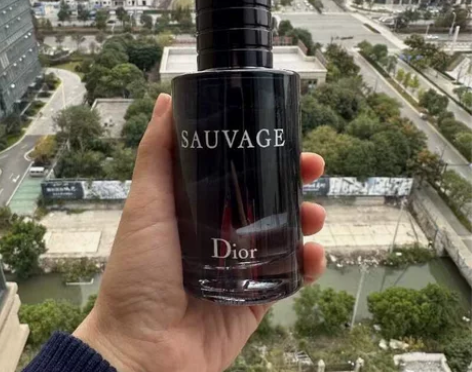 ?Dior迪奥Sauvage旷野男士香水D...