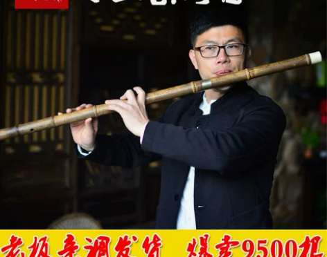 铁心迪笛子竹笛专业演奏乐器一节紫竹笛成人