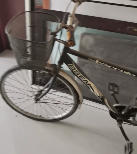 没地方，转三枪牌自行车一辆 感兴趣的话点“...