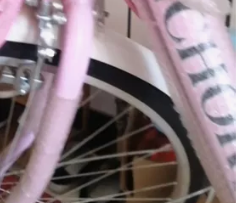 飞鸽自行车女26寸铁锚牌自家用的 单速车 ...