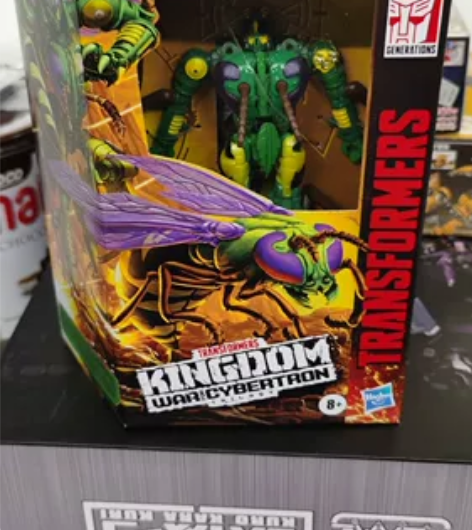 F0684孩之宝 变形金刚 王国加强级 黄...