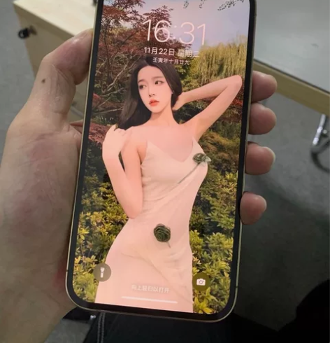 标价出无套路苹果12Pro256G 98新...