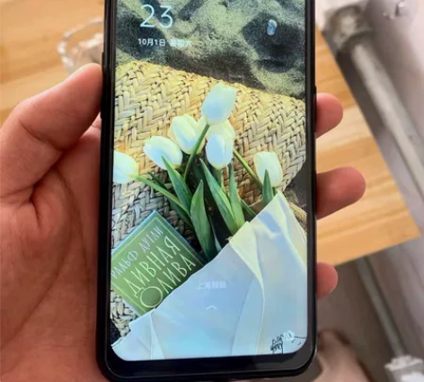 正品OPPO二手手机 Findx全网通高通...
