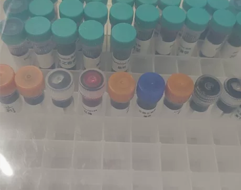 戴阿米圣诞限定墨水2019年25色全各1毫...