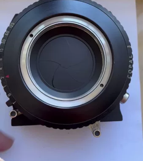 尼康240MM F5.6镜头 3号门前组有...