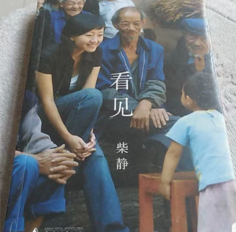 二手正版看见柴静广西师范大学出版社9787...